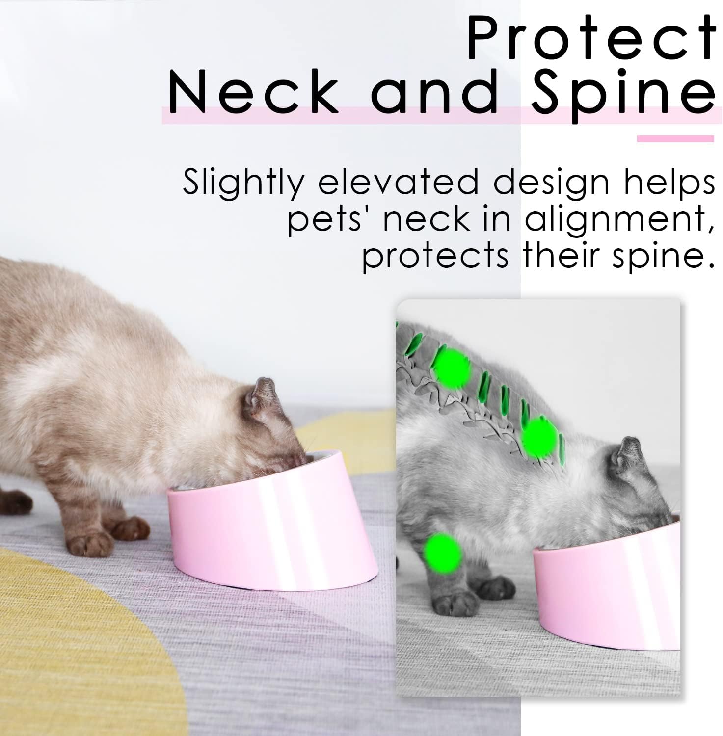 SuperDesign Mess Free 15° Slanted Bowl for Dogs | PetNestUK