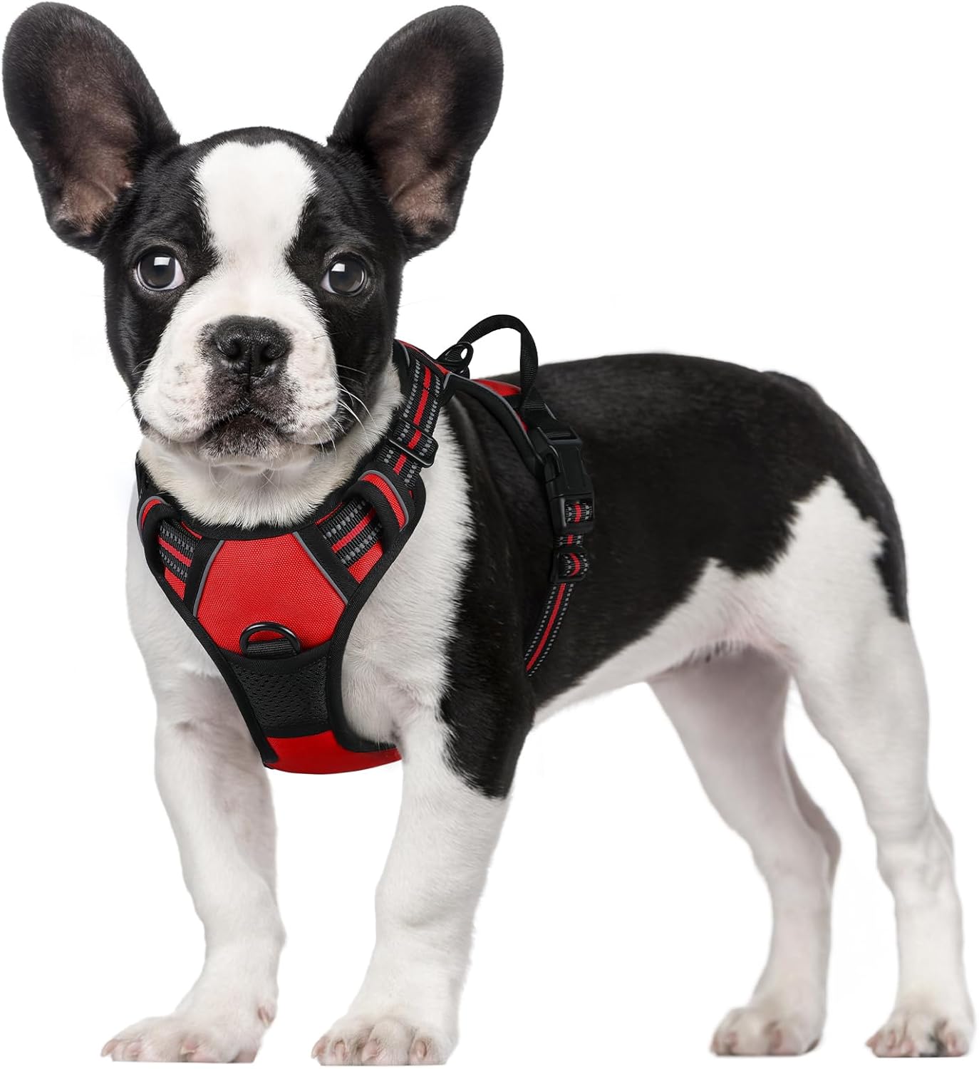 rabbitgoo Dog Harness Dog No Pull Pet Harness | PetNestUK