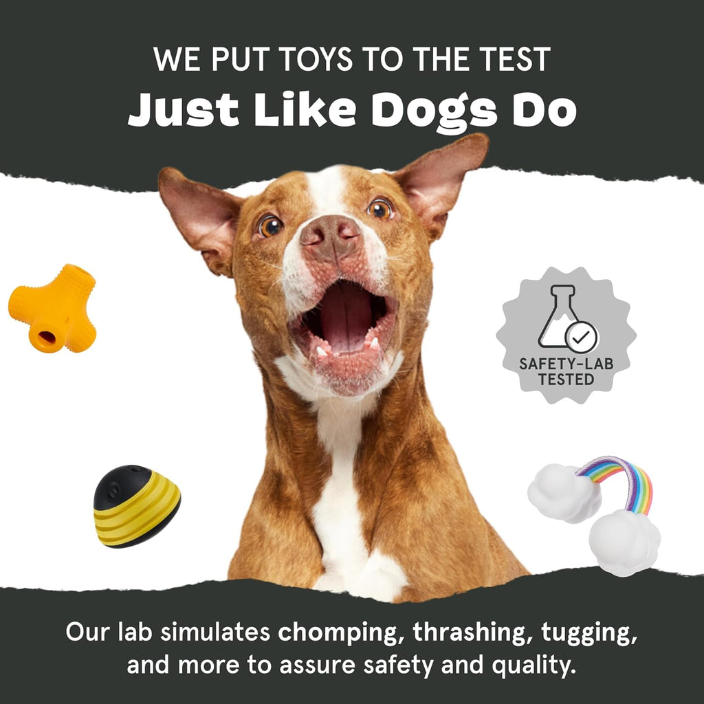 BarkBox Squeaky Plush Dog Toys