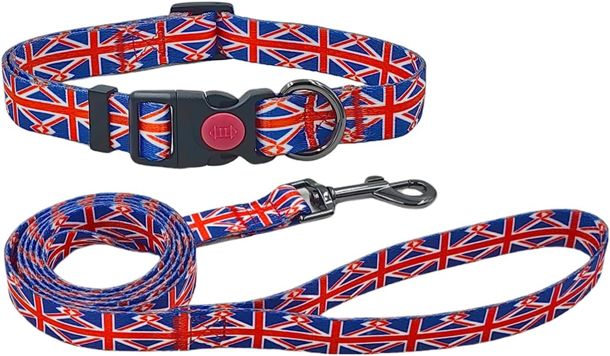 Olahibi Daisy Pattern Dog Collar and Leash | PetNestUK