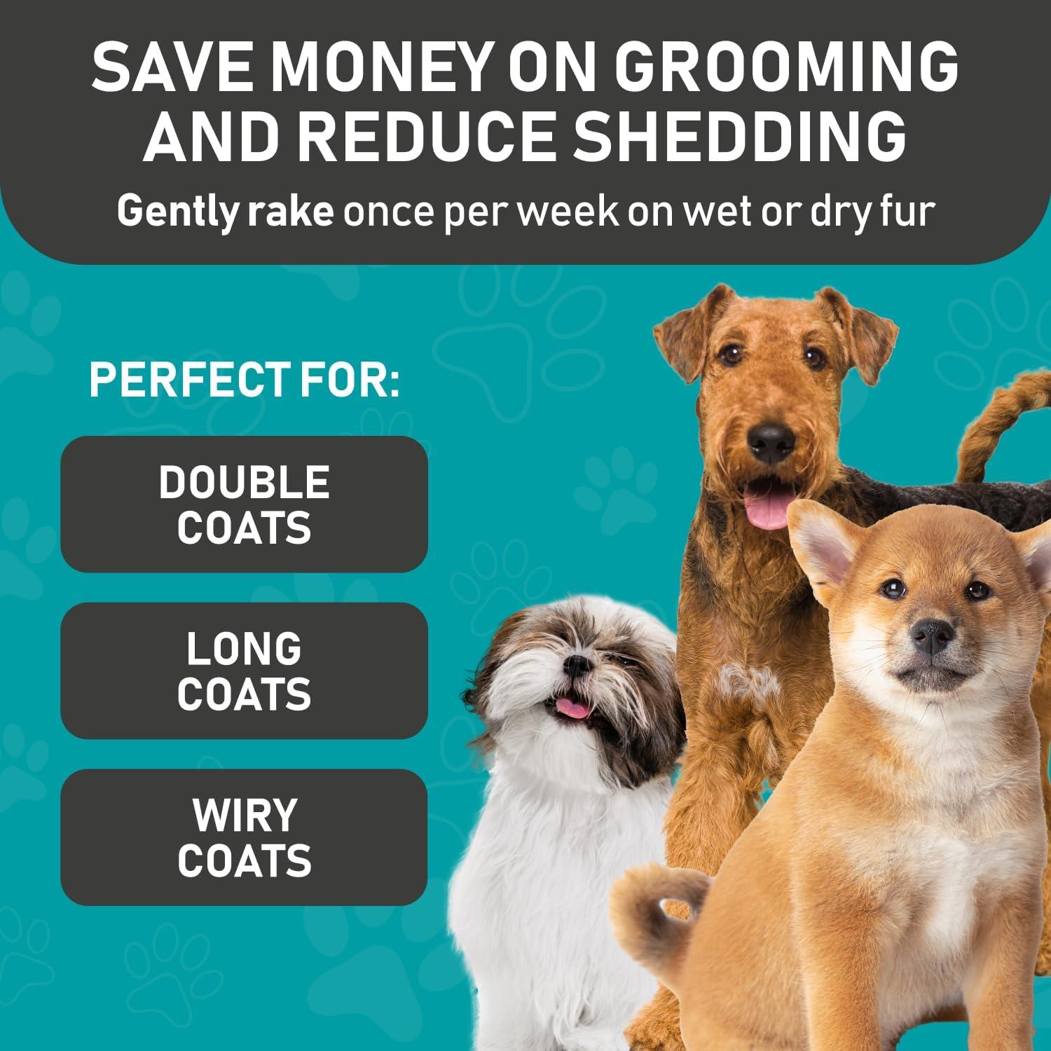 Maxpower Planet Dog Brush | PetNestUK