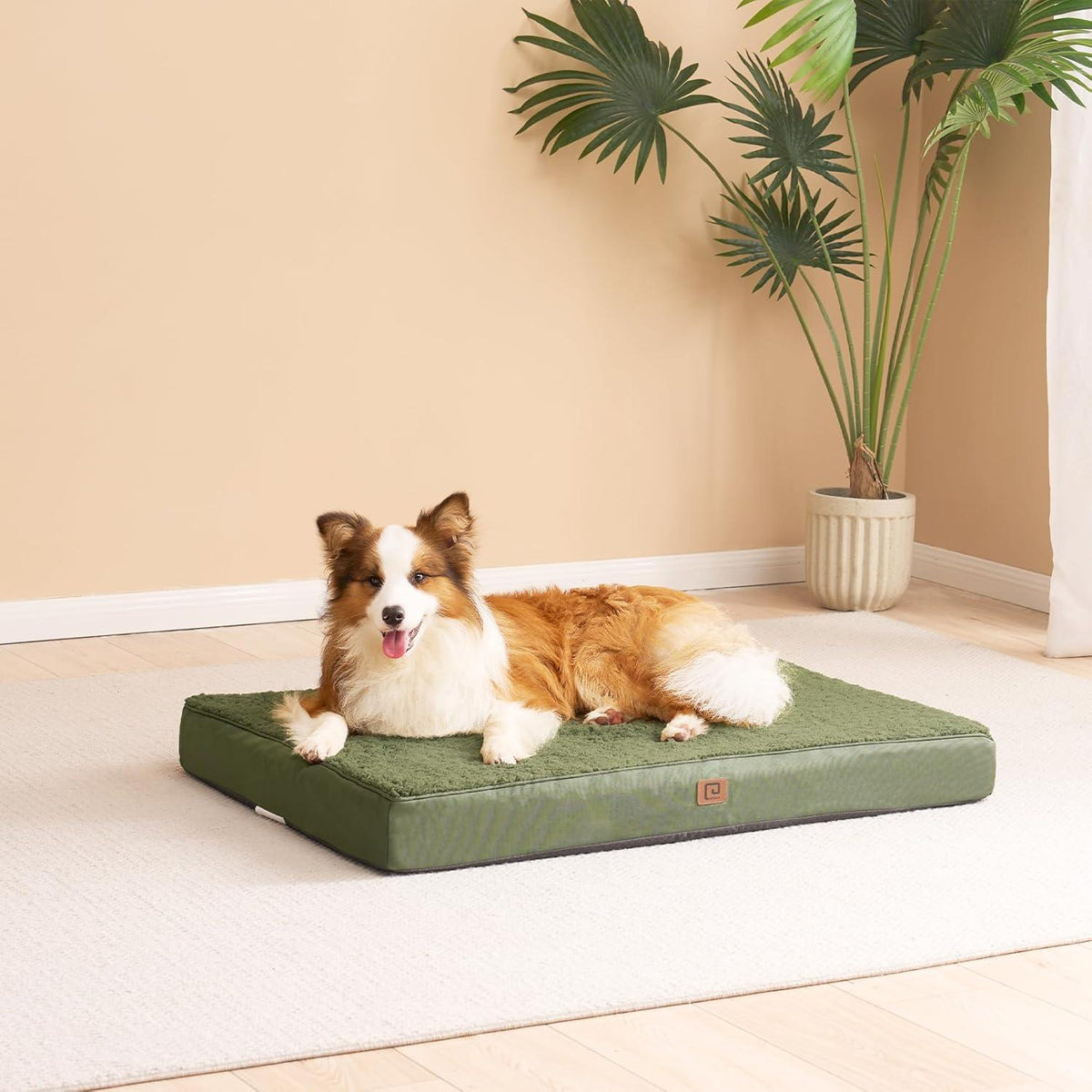 EHEYCIGA Foam Dog Mattress with Removable Cover