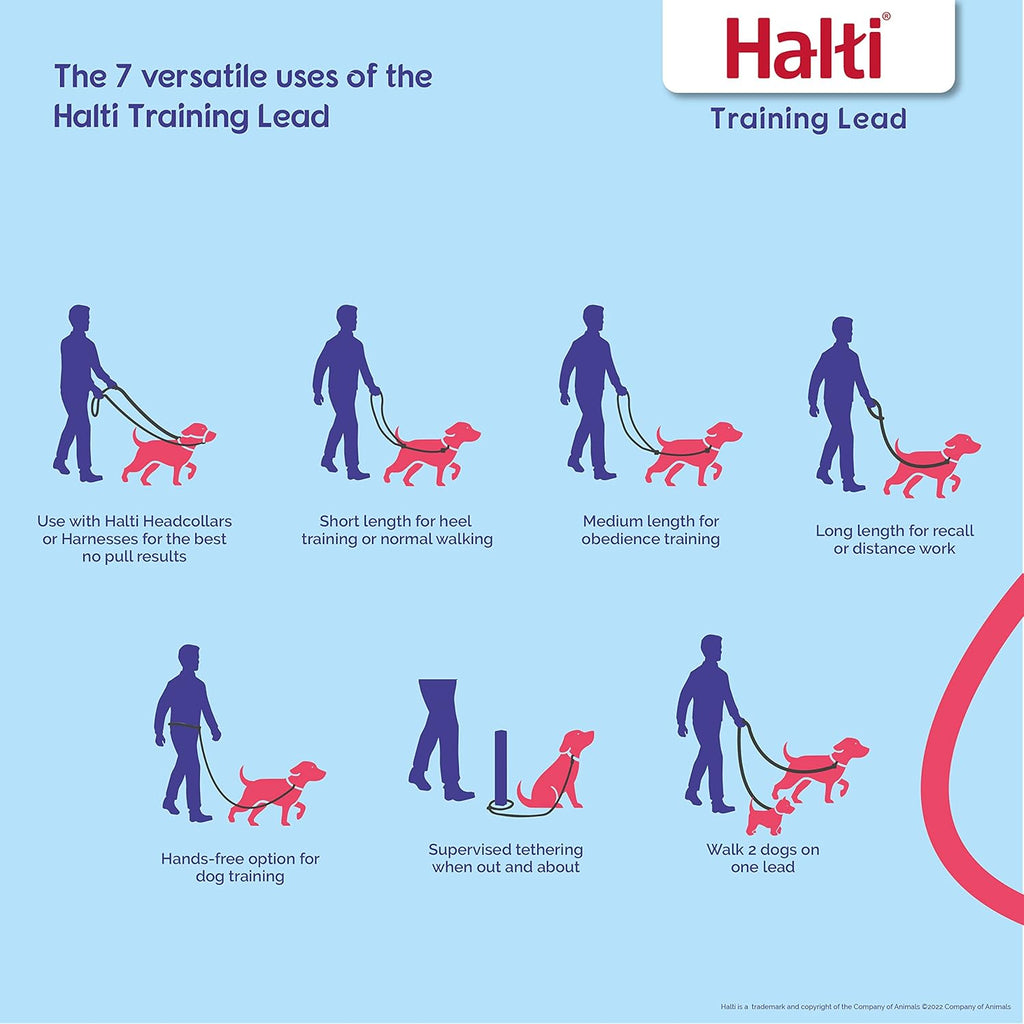 HALTI Training Lead | PetNestUK
