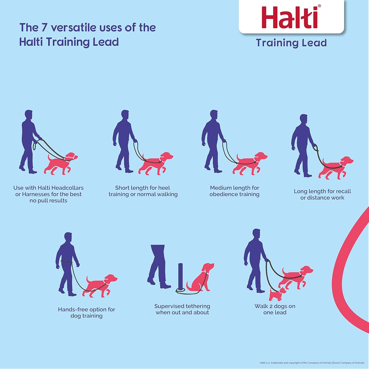 HALTI Training Lead | PetNestUK