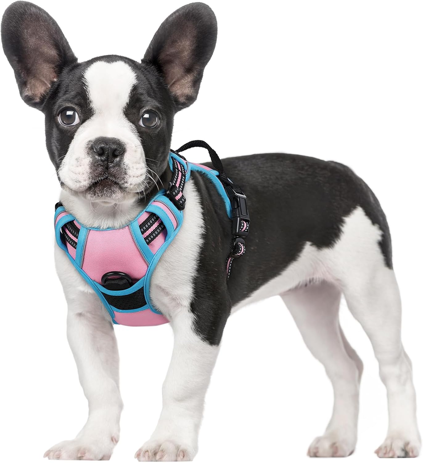 rabbitgoo Dog Harness Dog No Pull Pet Harness | PetNestUK