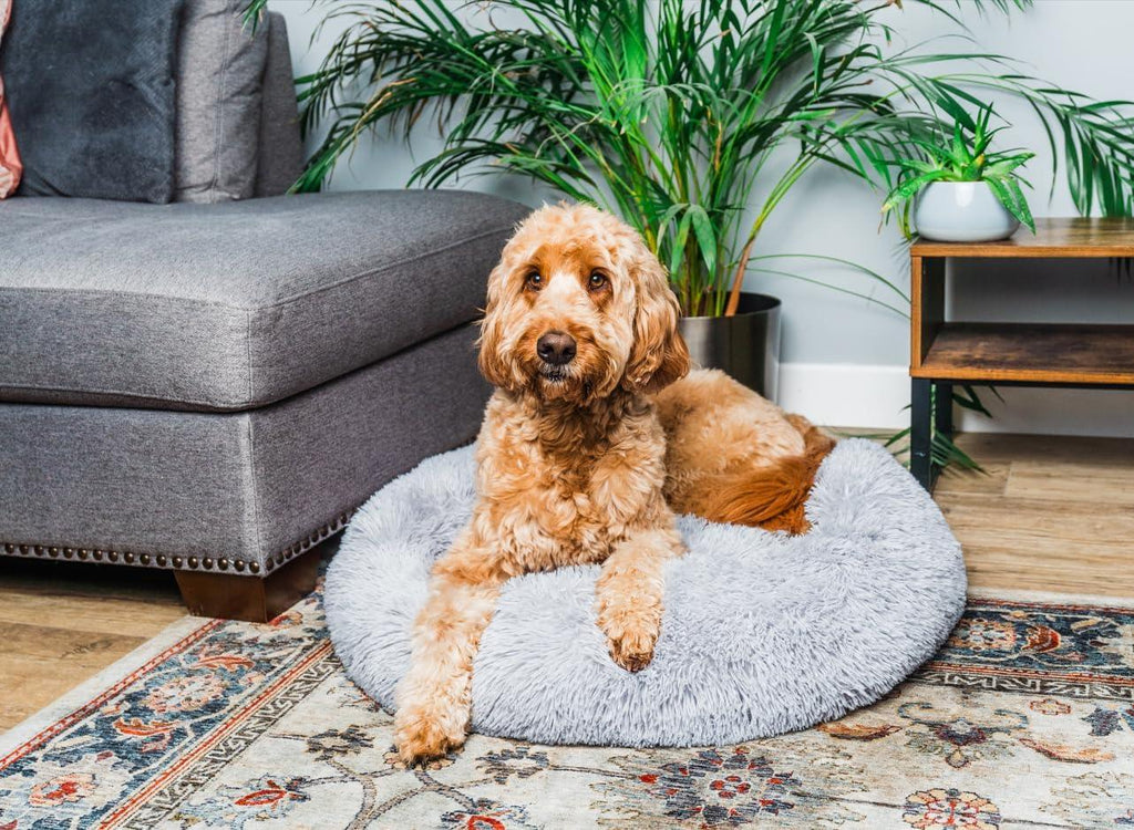 Woof & Whiskers Donut Beds For Dogs Grey Dog Bed | PetNestUK