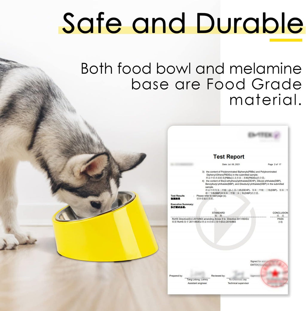SuperDesign Slanted Stainless-Steel Pet Bowl