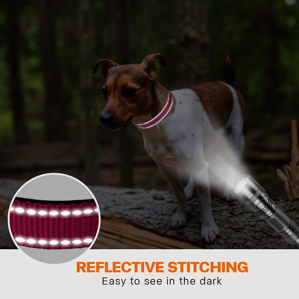 Taglory Reflective Nylon Dog Collar with Safety | PetNestUK