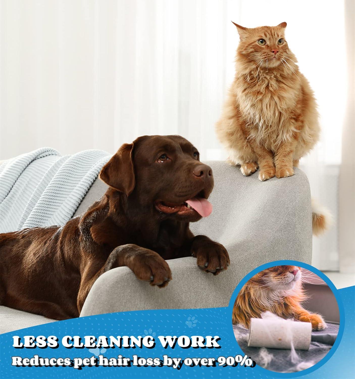 Morpilot Dog Brush Cat Brush Grooming Comb, | PetNestUK