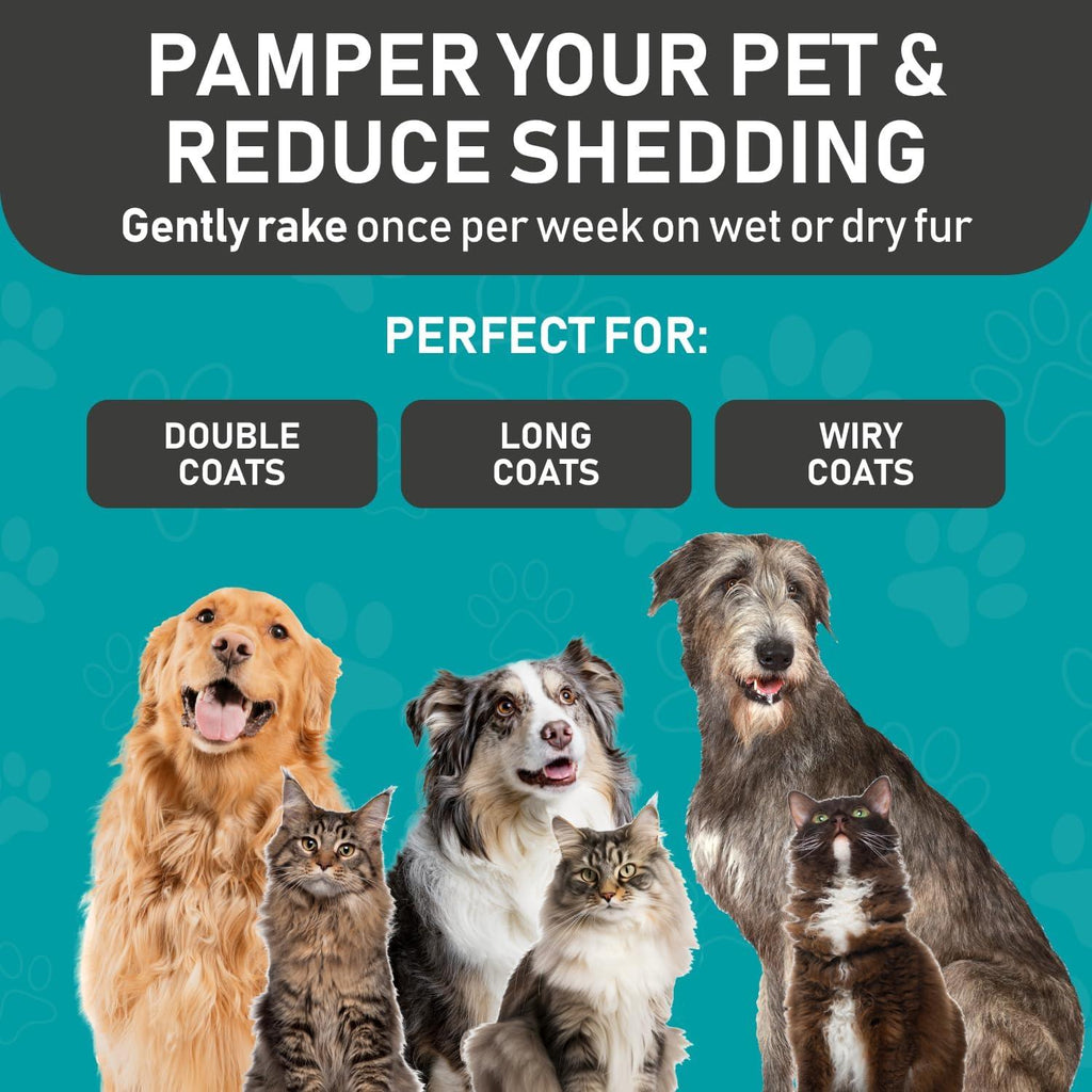 Maxpower Planet Dog Brush | PetNestUK