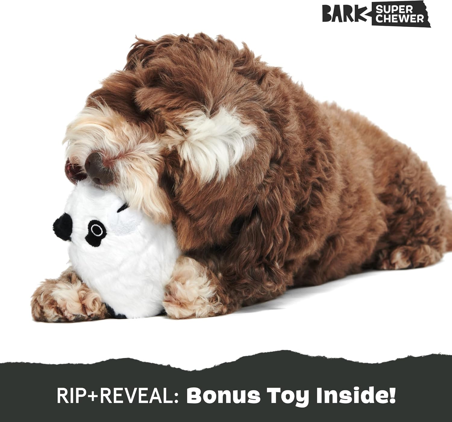 Barkbox Squeaky Dog Toys - Plush and Squeak Chew | PetNestUK