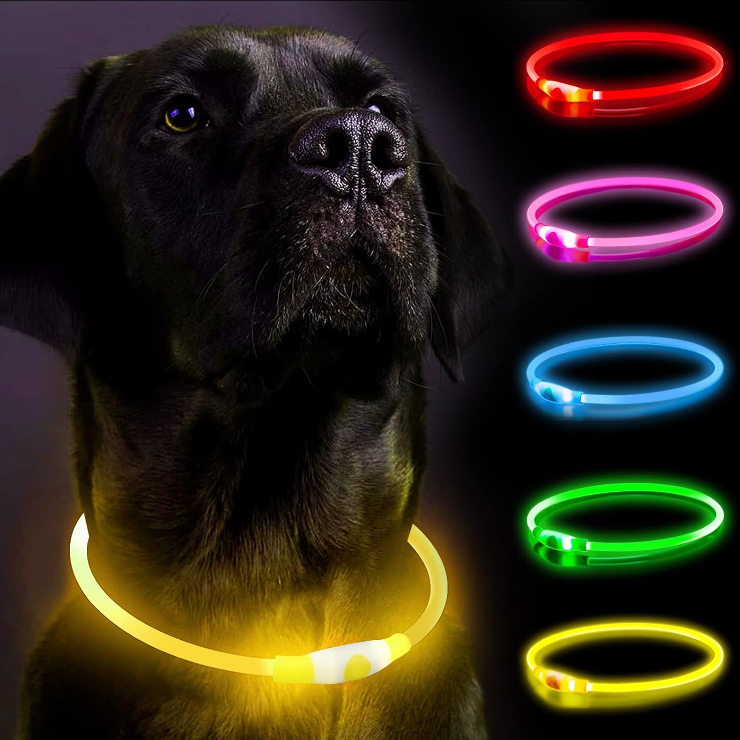 SerDa-Run Light Up Dog Collar, Dog Collar Lights | PetNestUK