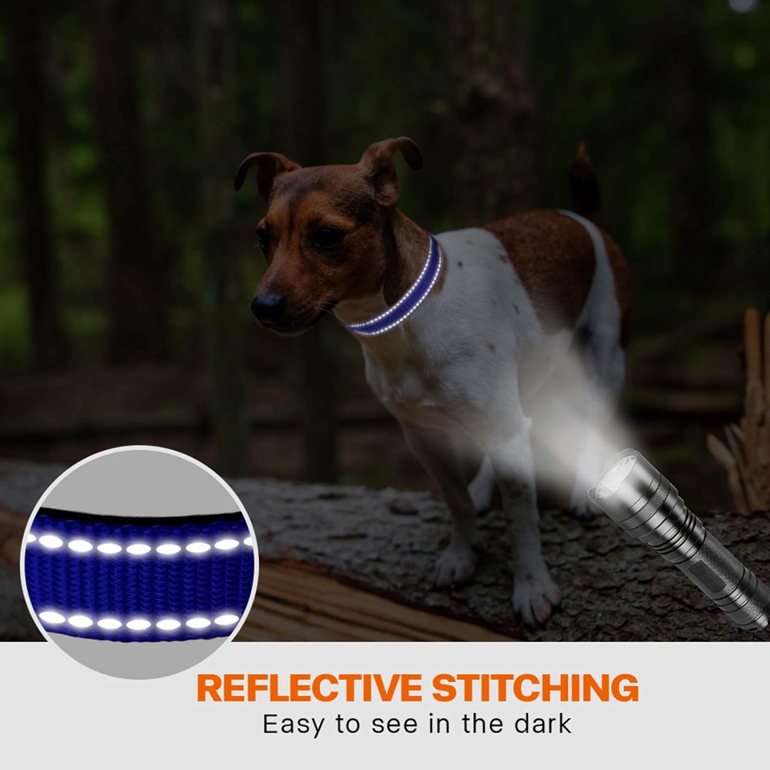 Taglory Reflective Nylon Dog Collar with Safety | PetNestUK
