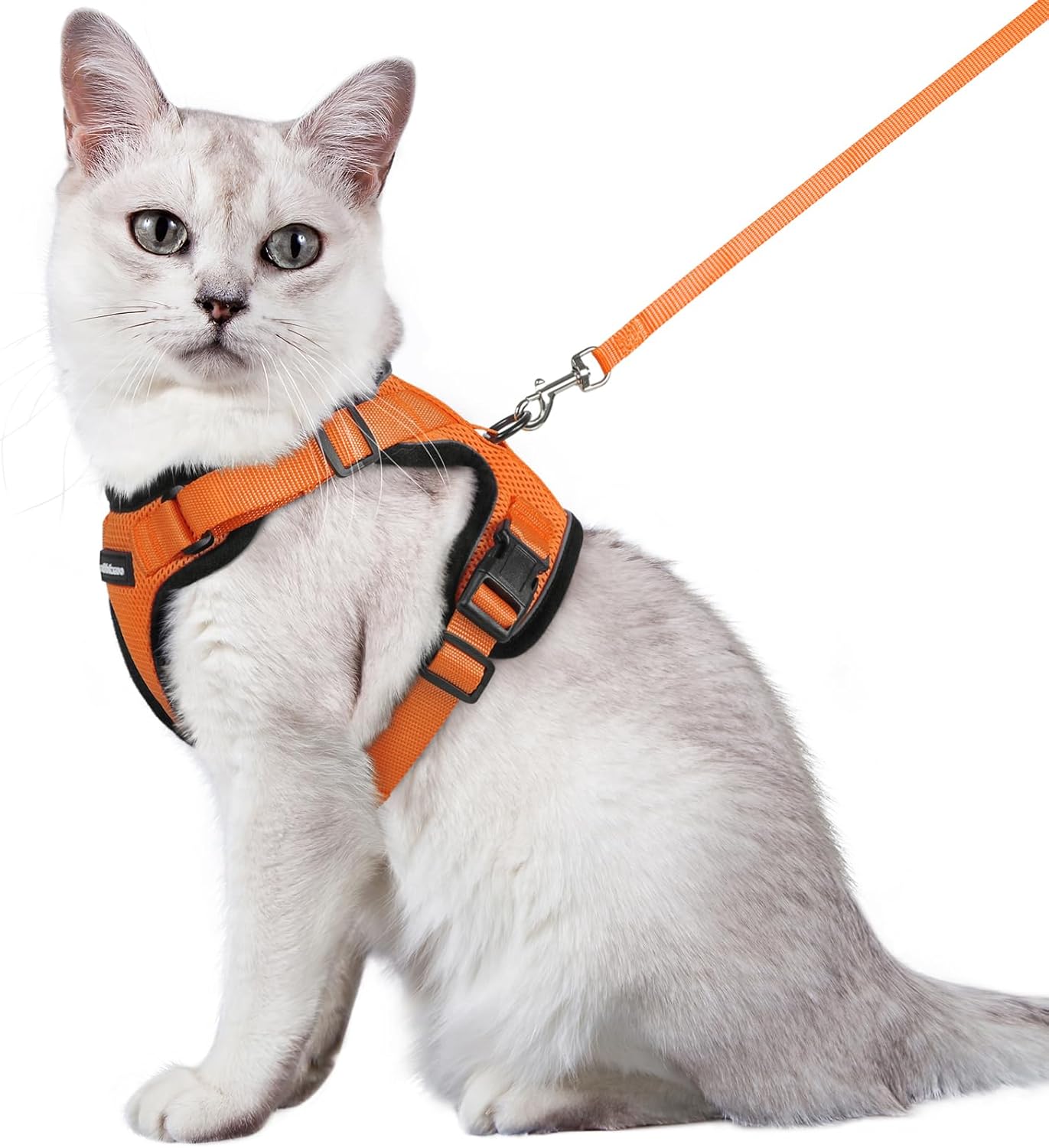 rabbitgoo Cat Harness and Lead Set, Escape Proof | PetNestUK