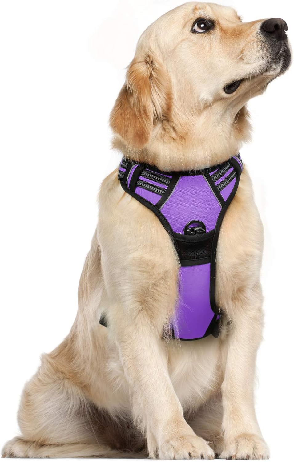 rabbitgoo Padded Dog Harness with Two Lead Clips