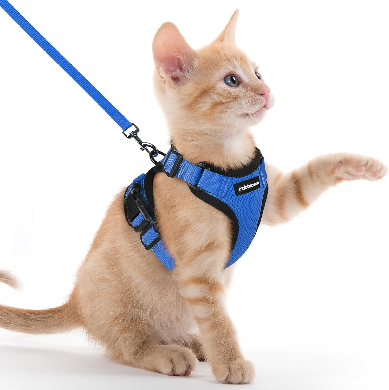 rabbitgoo Cat Harness and Lead Set, Escape Proof | PetNestUK