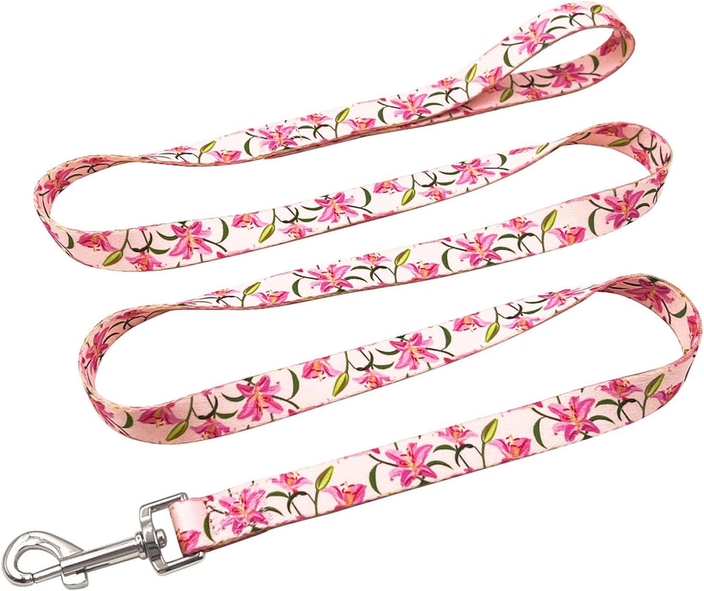 Olahibi Patterned Dog Collar and Lead Sets