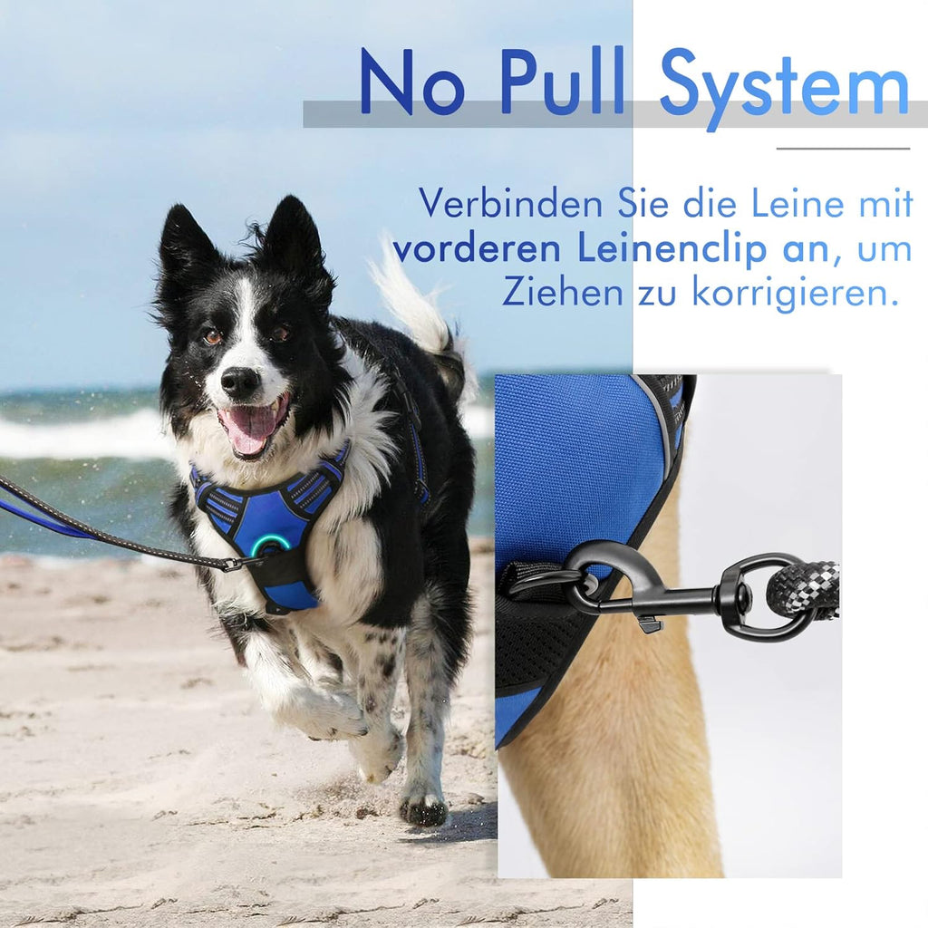 rabbitgoo Dog Harness Dog No Pull Pet Harness | PetNestUK
