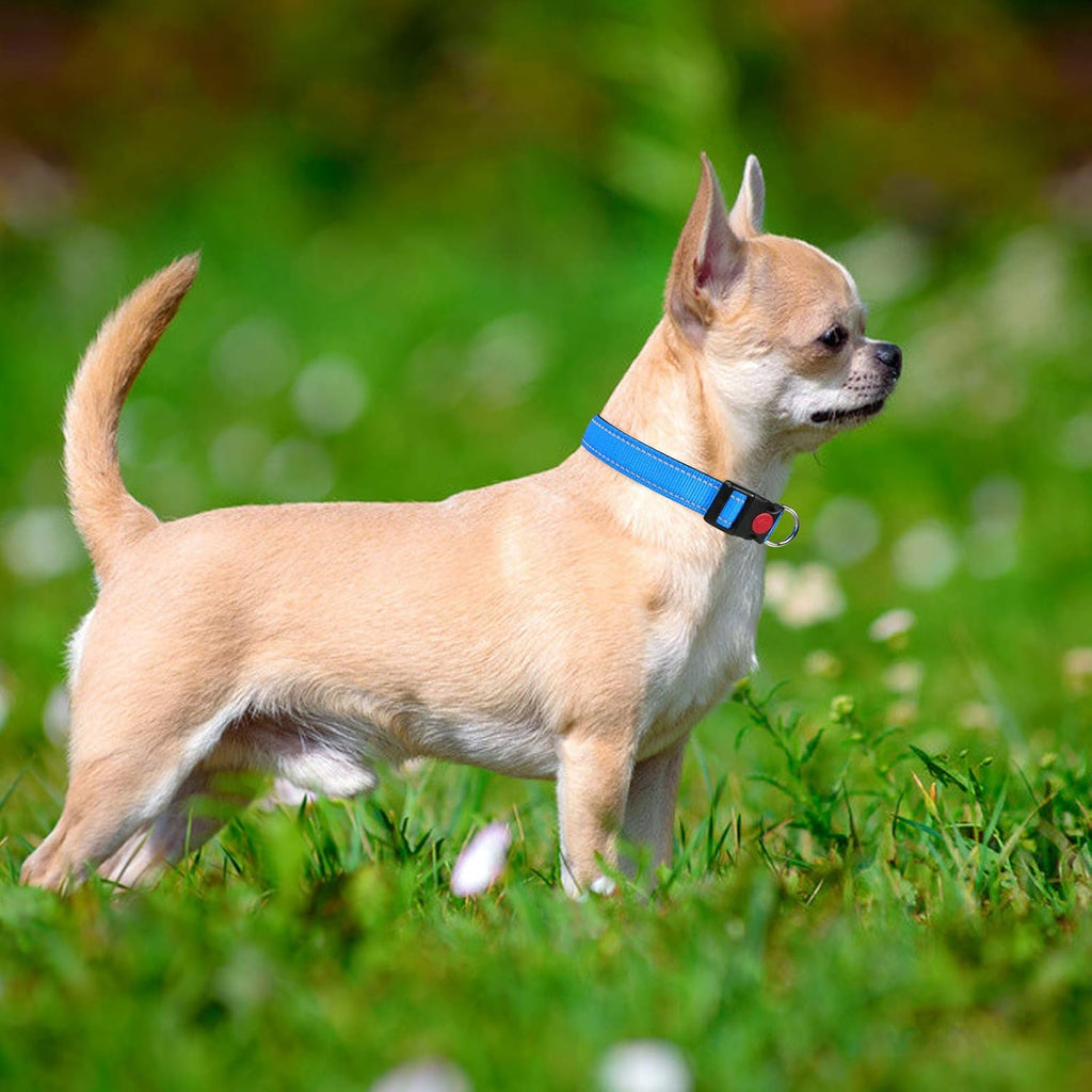 Taglory Reflective Nylon Dog Collar with Safety | PetNestUK
