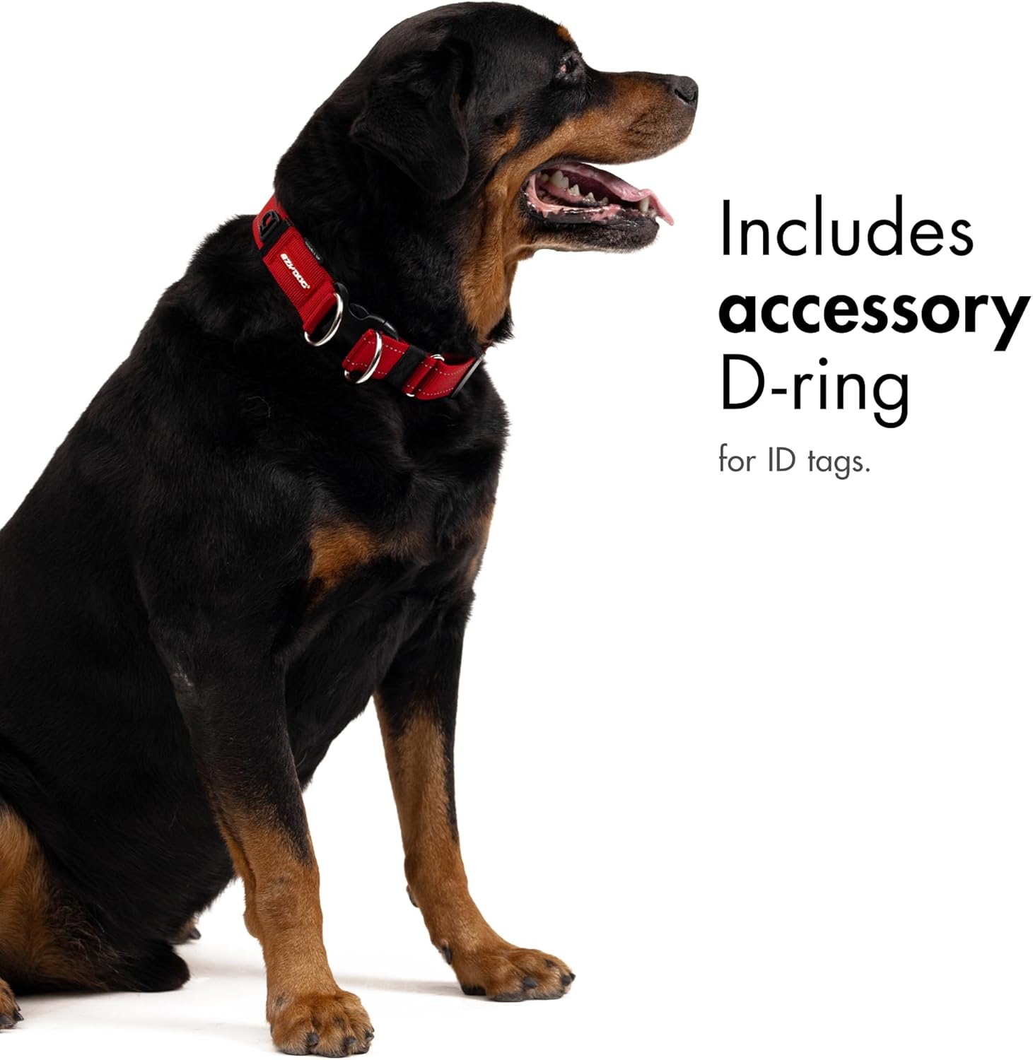 EZYDOG Double Up Dog Collar | PetNestUK