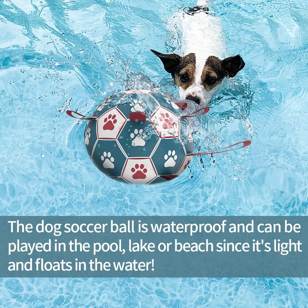 HETOO Interactive Dog Football Toys with Grab | PetNestUK