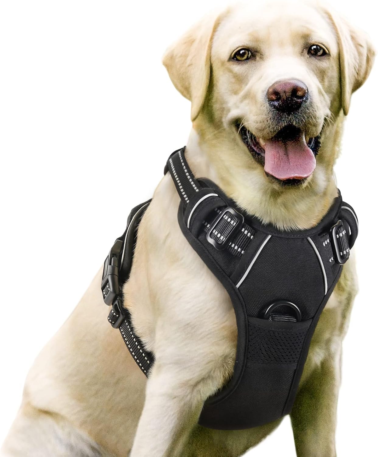 rabbitgoo Dog Harness Dog No Pull Pet Harness | PetNestUK