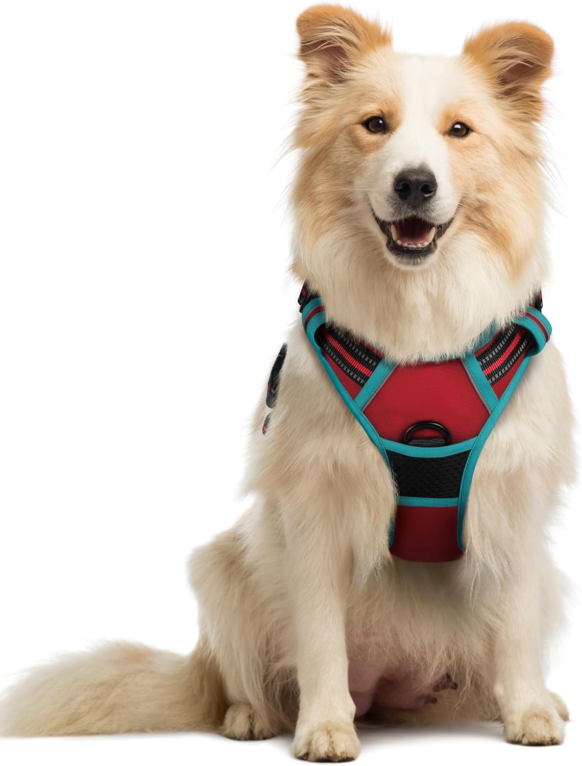 rabbitgoo Padded Dog Harness with Two Lead Clips