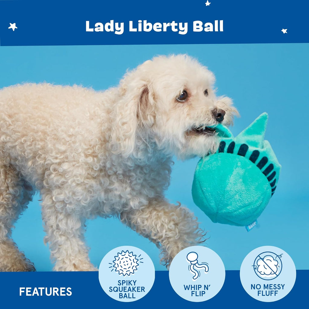 BarkBox Squeaky Plush Dog Toys