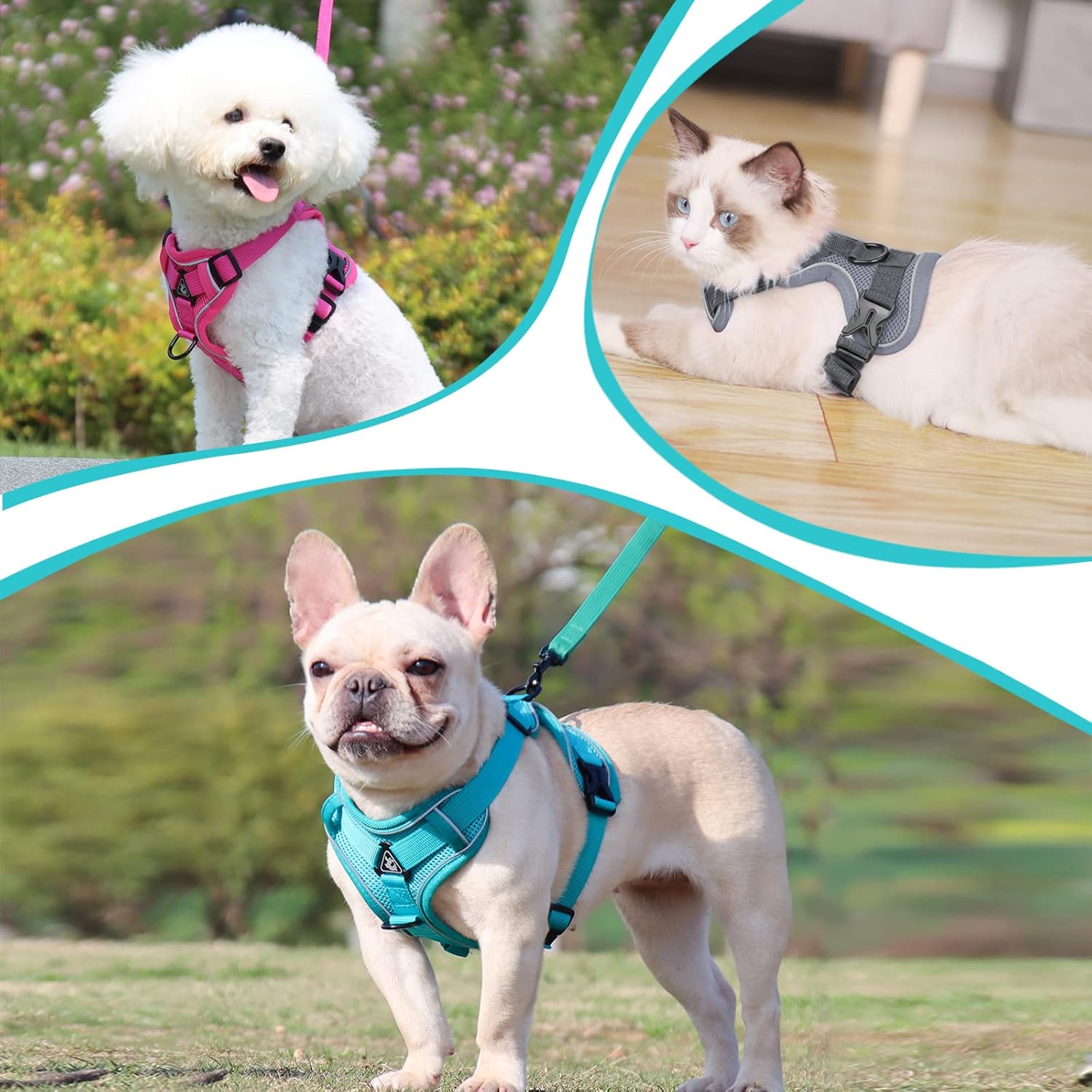 Cat Harness and Lead Set, Adjustable Kitten | PetNestUK
