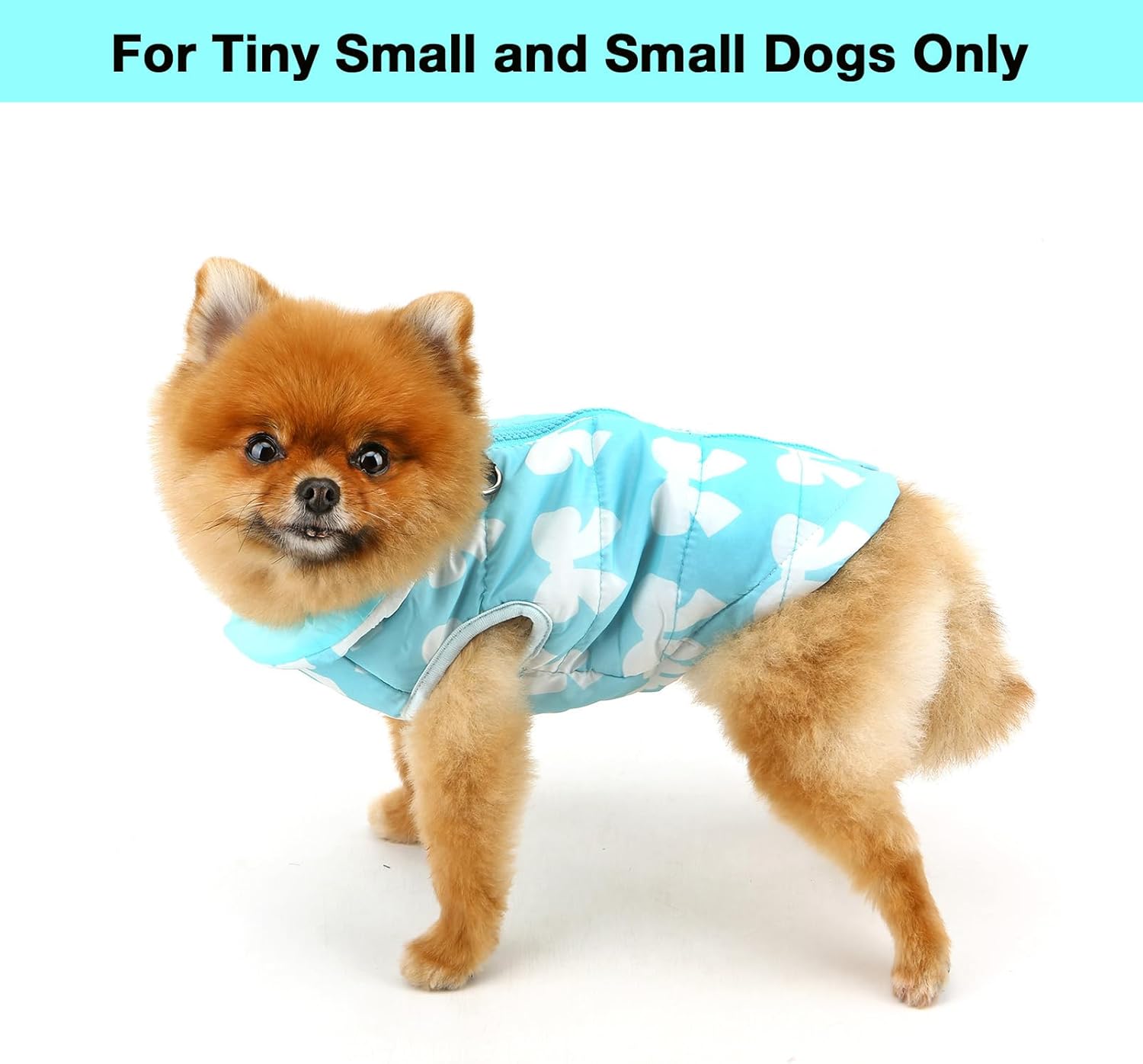 SMALLLEE_LUCKY_STORE Small Dog Cat Winter Coat | PetNestUK
