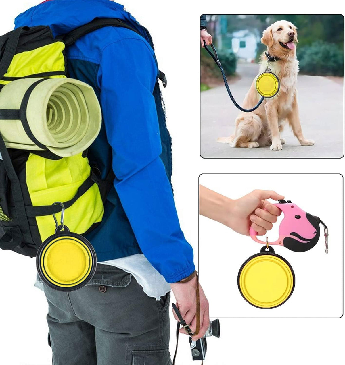 Coolon Collapsible Travel Bowls for Pets