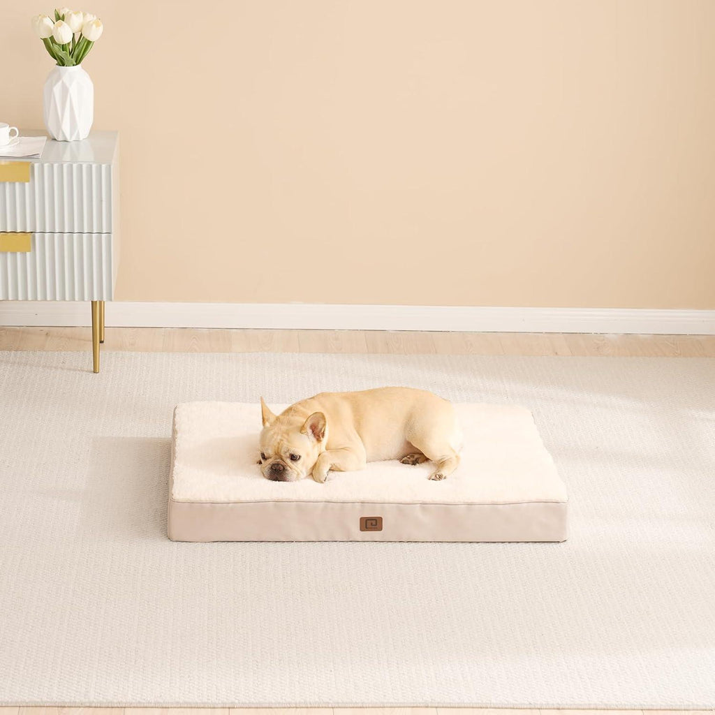 EHEYCIGA Orthopedic Dog Beds Small, Medium, | PetNestUK