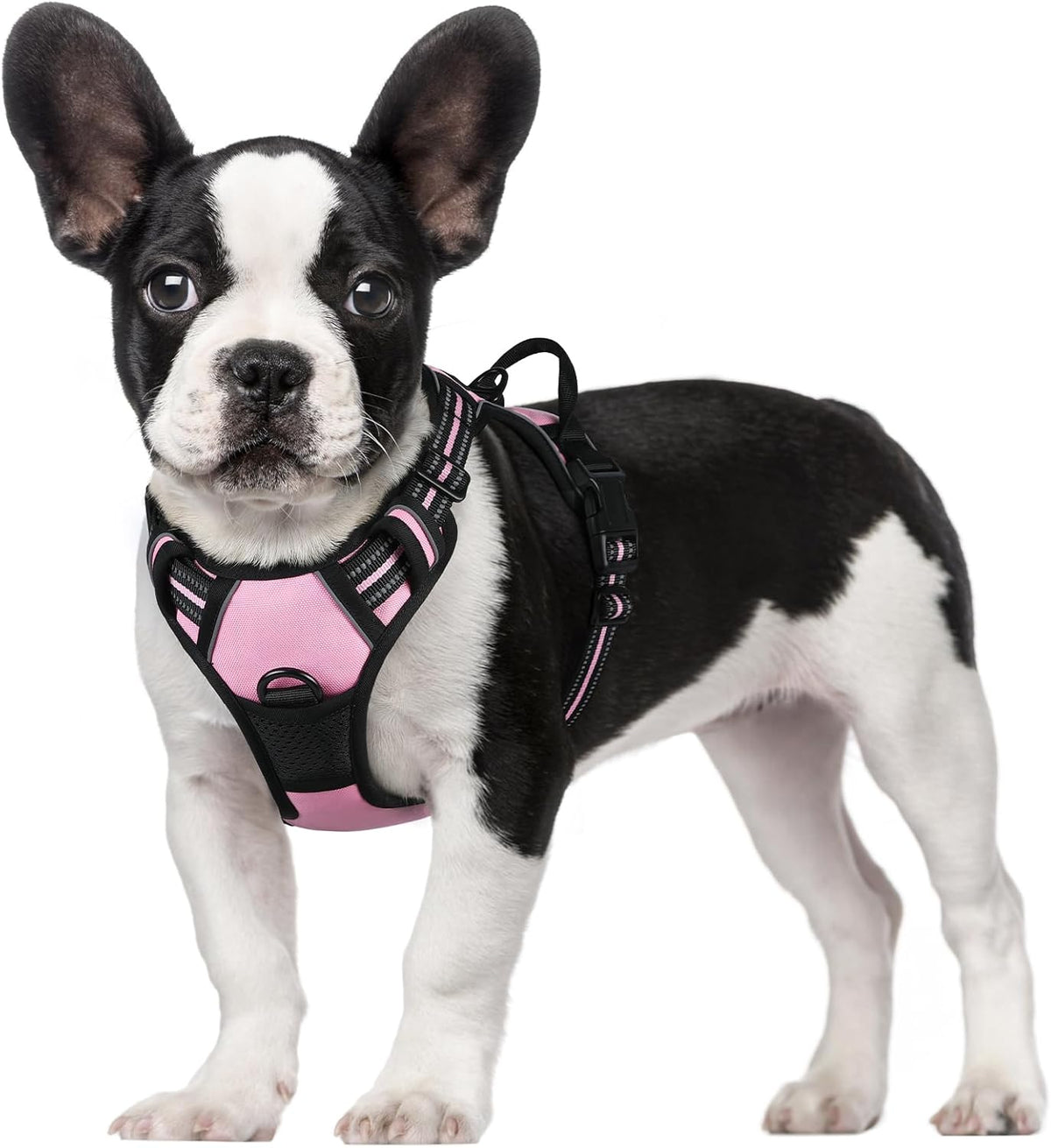 rabbitgoo Padded Dog Harness with Two Lead Clips