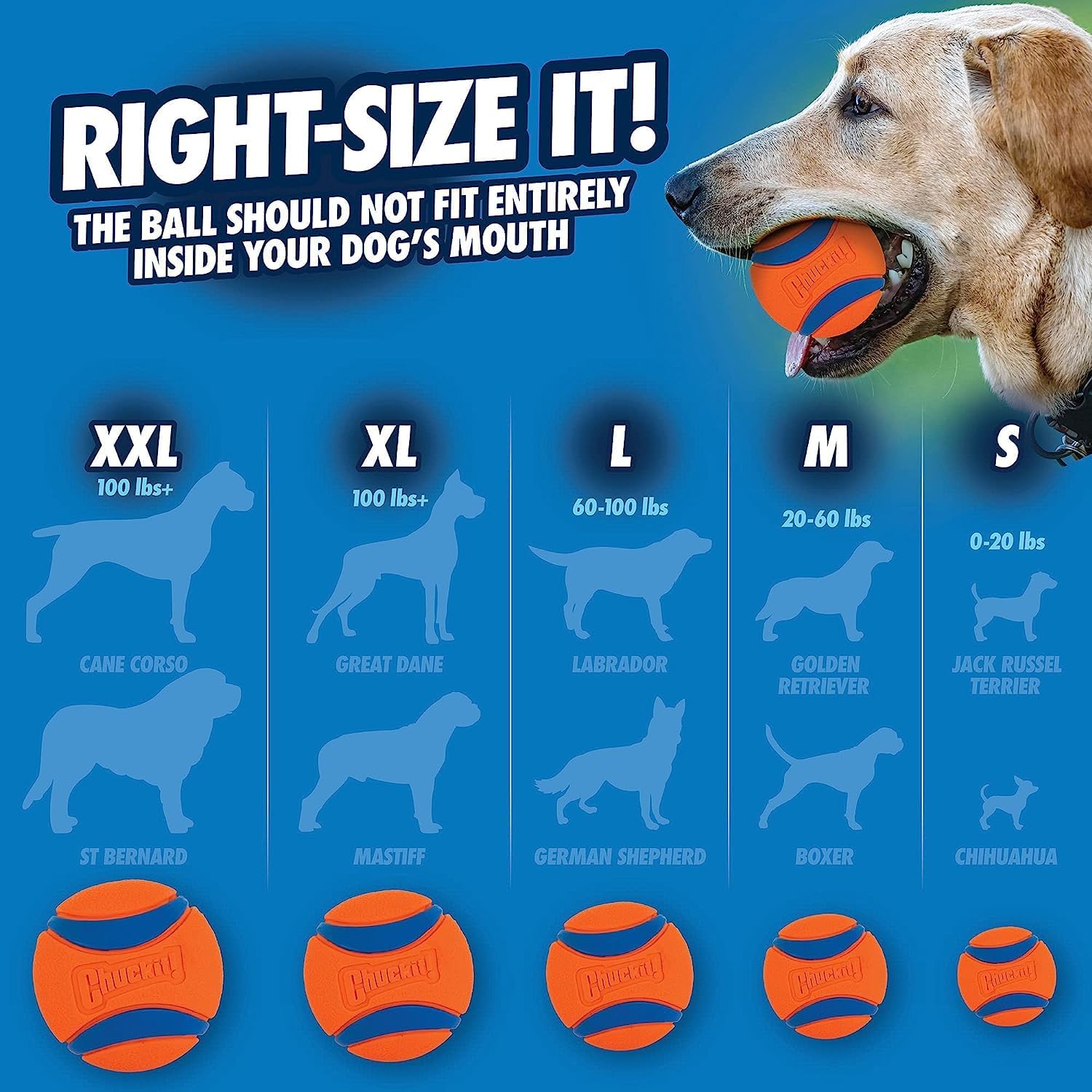 Chuckit! Ultra Tug Dog Toy With Rubber Ball Tug | PetNestUK