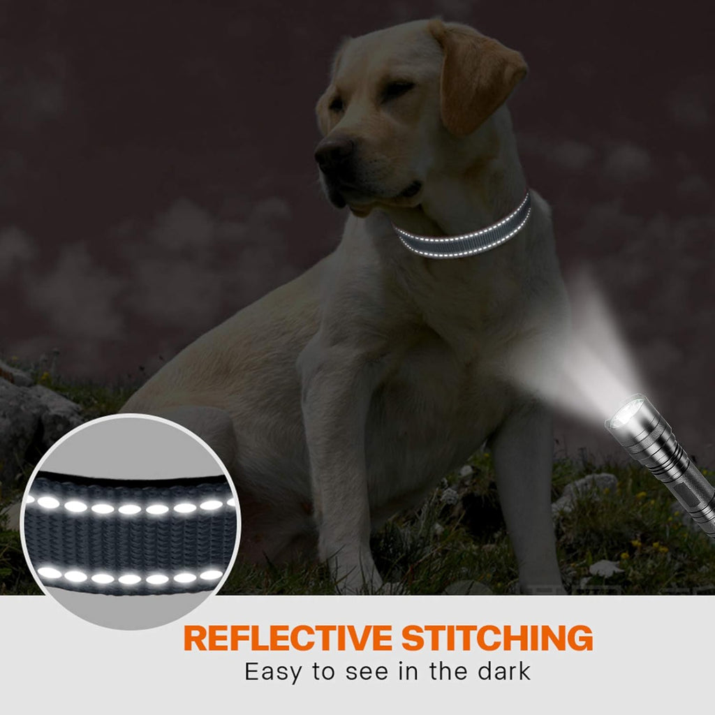Taglory Reflective Nylon Dog Collar with Safety | PetNestUK