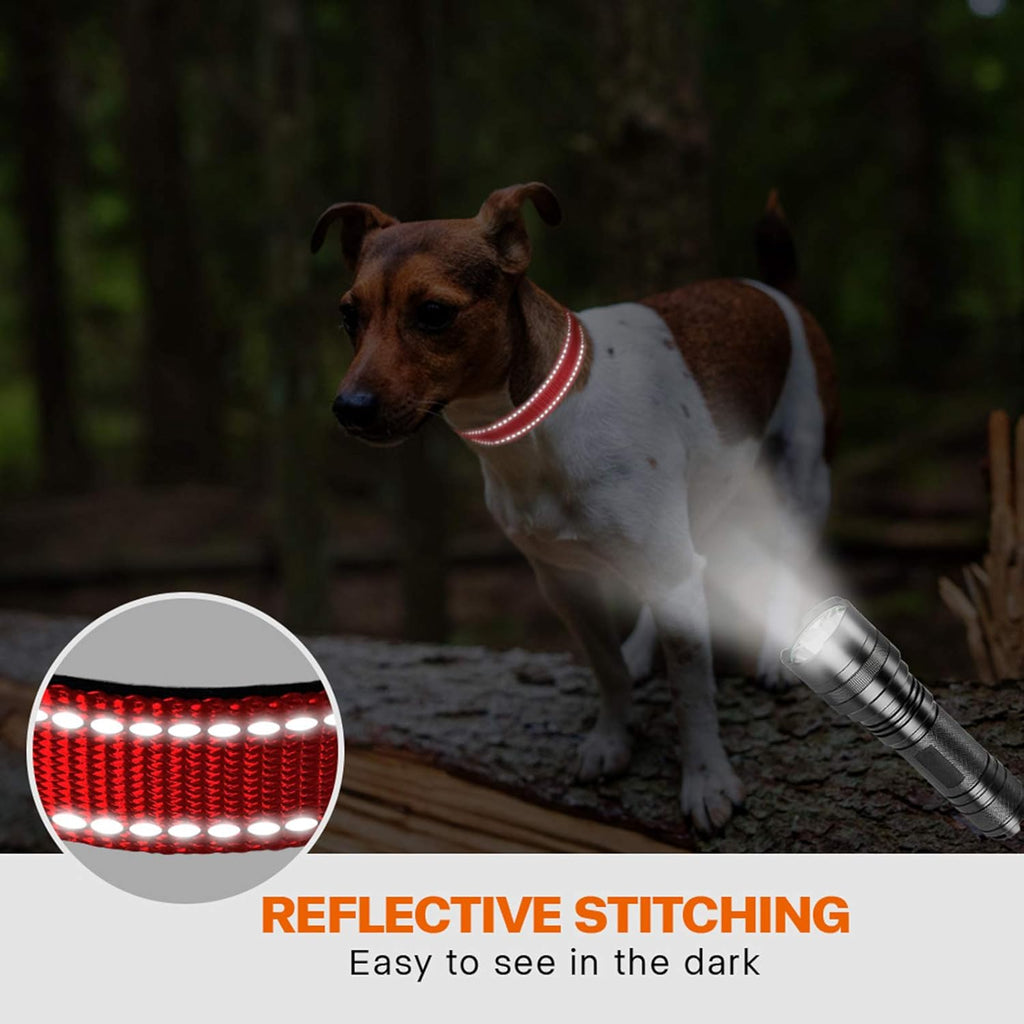 Taglory Reflective Nylon Dog Collar with Safety | PetNestUK