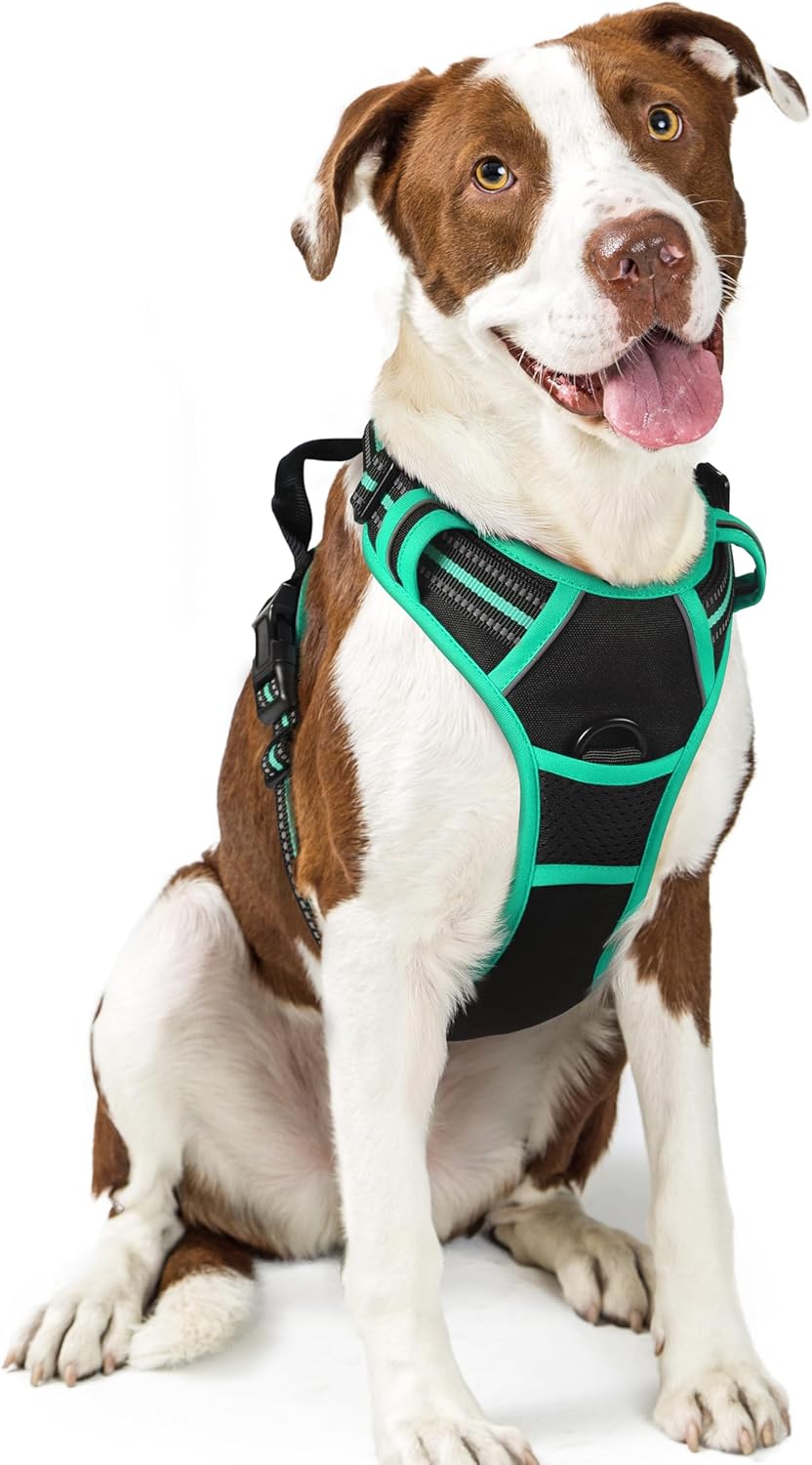 rabbitgoo Padded Dog Harness with Two Lead Clips