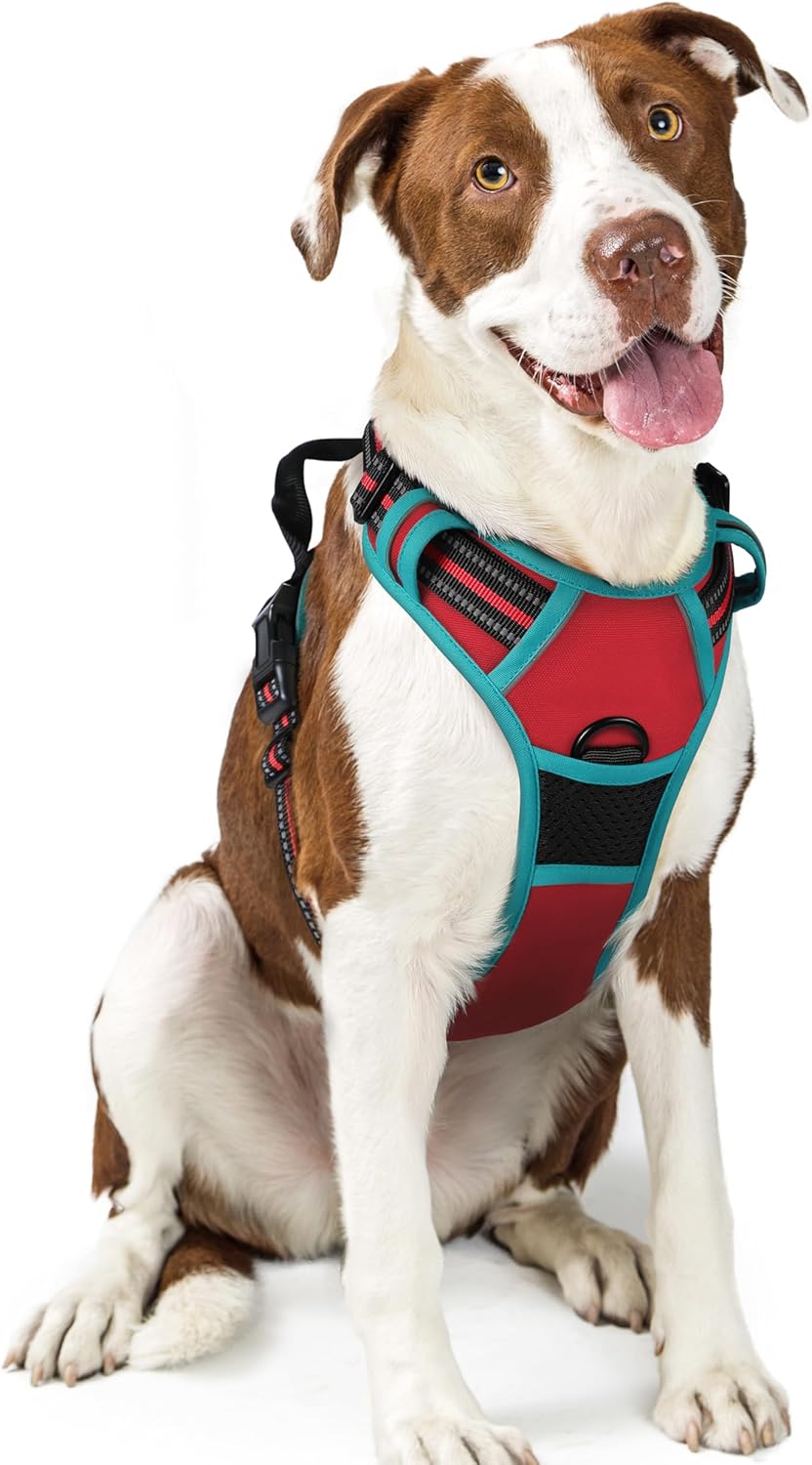 rabbitgoo Dog Harness Dog No Pull Pet Harness | PetNestUK
