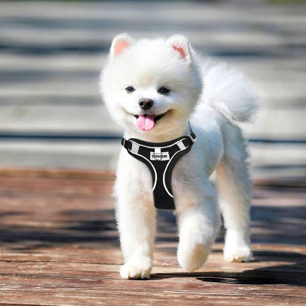 RAFIYU Dog Harness Medium Breathable Vest, | PetNestUK