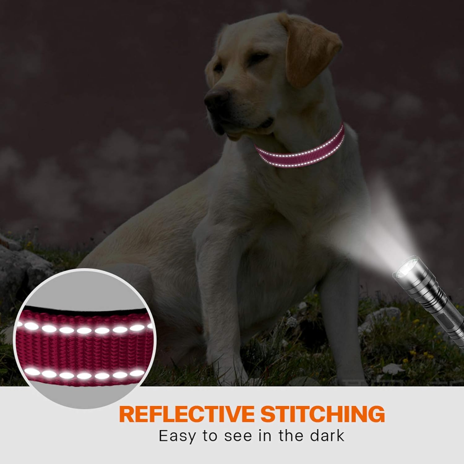 Taglory Reflective Nylon Dog Collar with Safety | PetNestUK