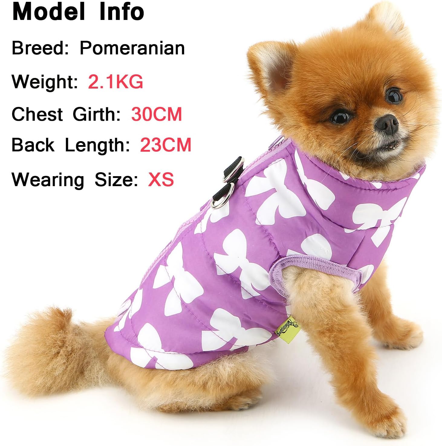 SMALLLEE_LUCKY_STORE Small Dog Cat Winter Coat | PetNestUK