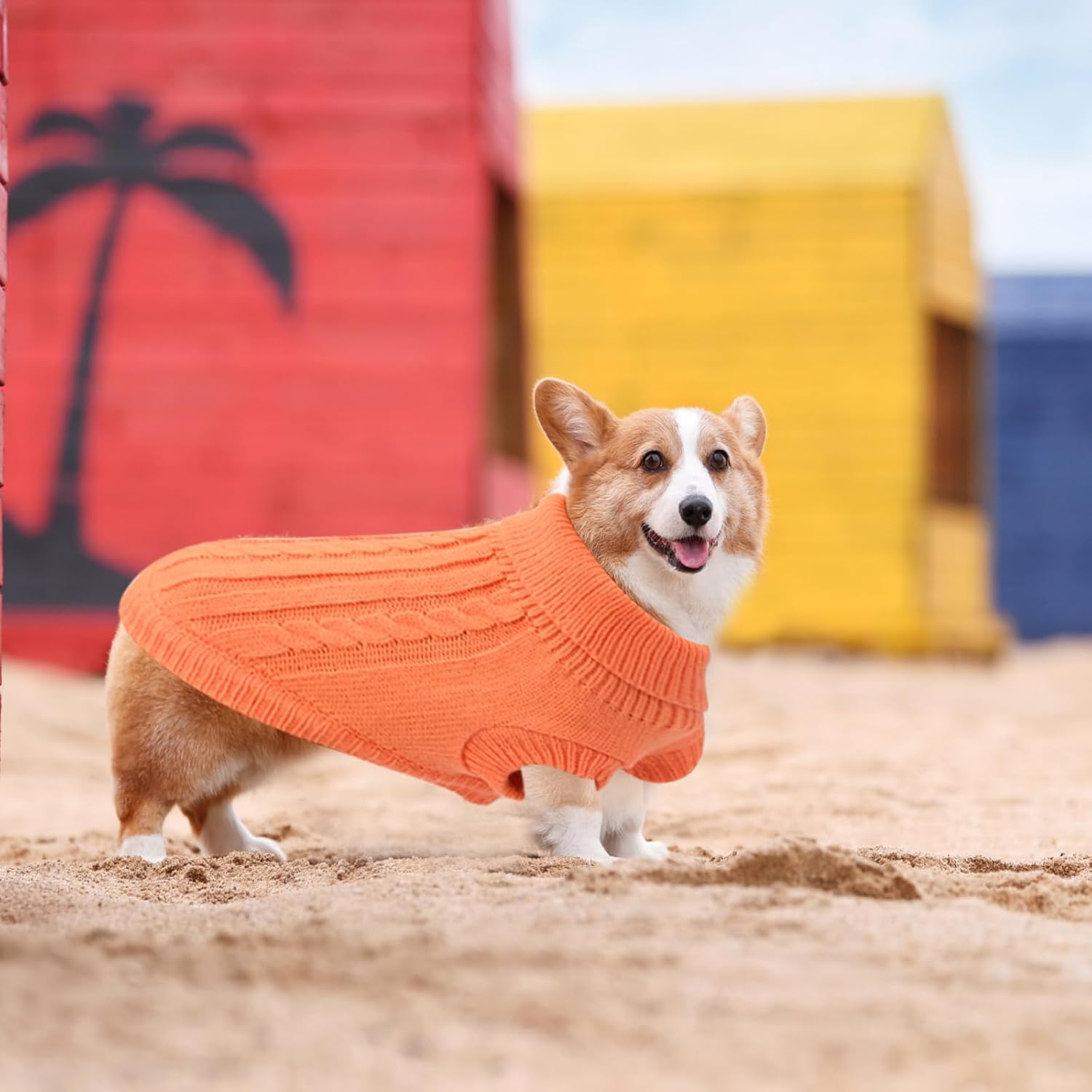 Small Dog Jumper, Warm Puppy Sweater for Small | PetNestUK
