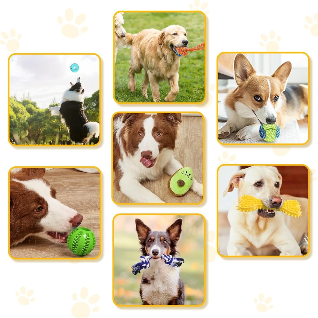 10 Pack Luxury Puppy Toys for Teething Small | PetNestUK