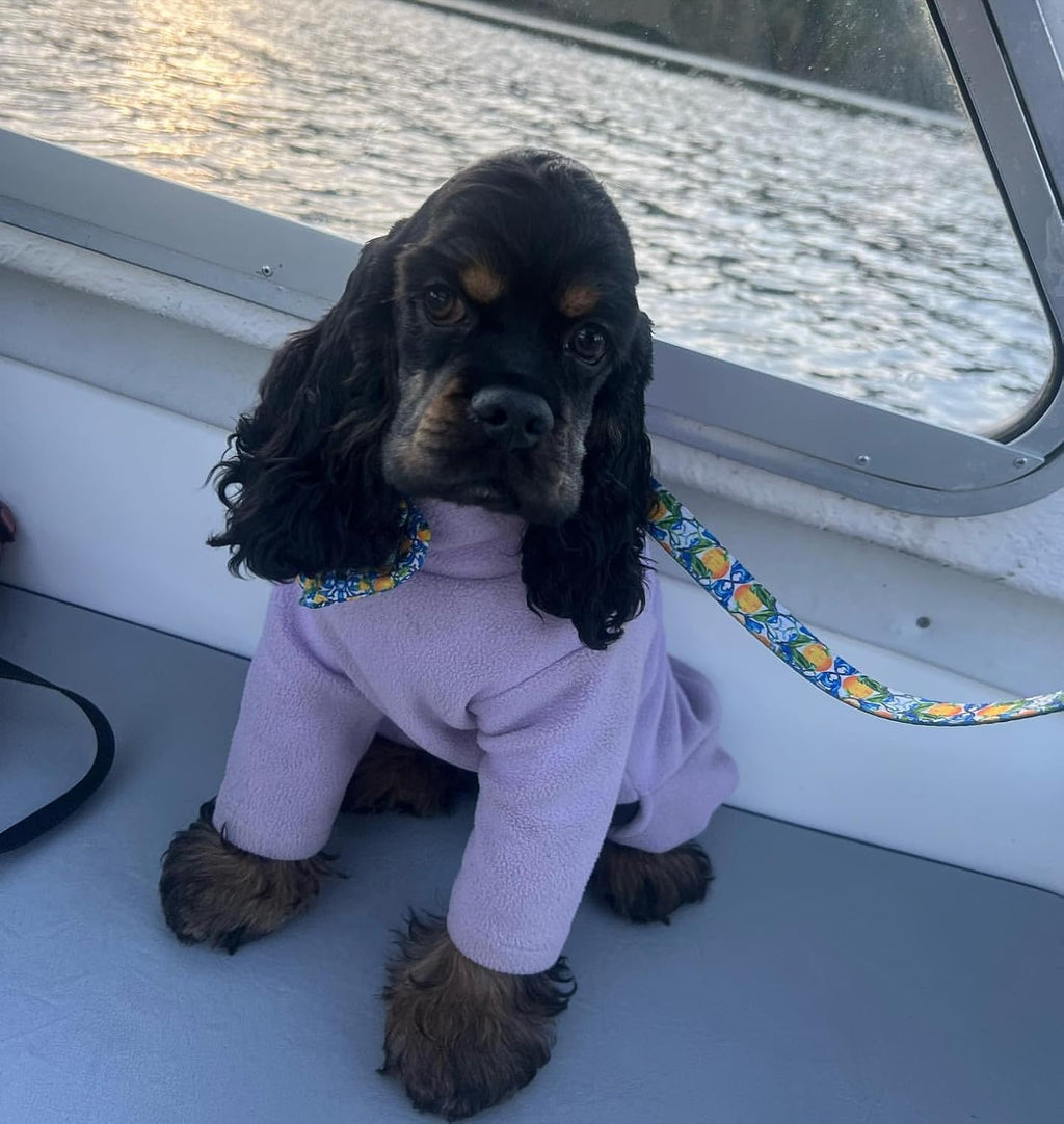 Warm Four-Legged Dog Fleece | PetNestUK