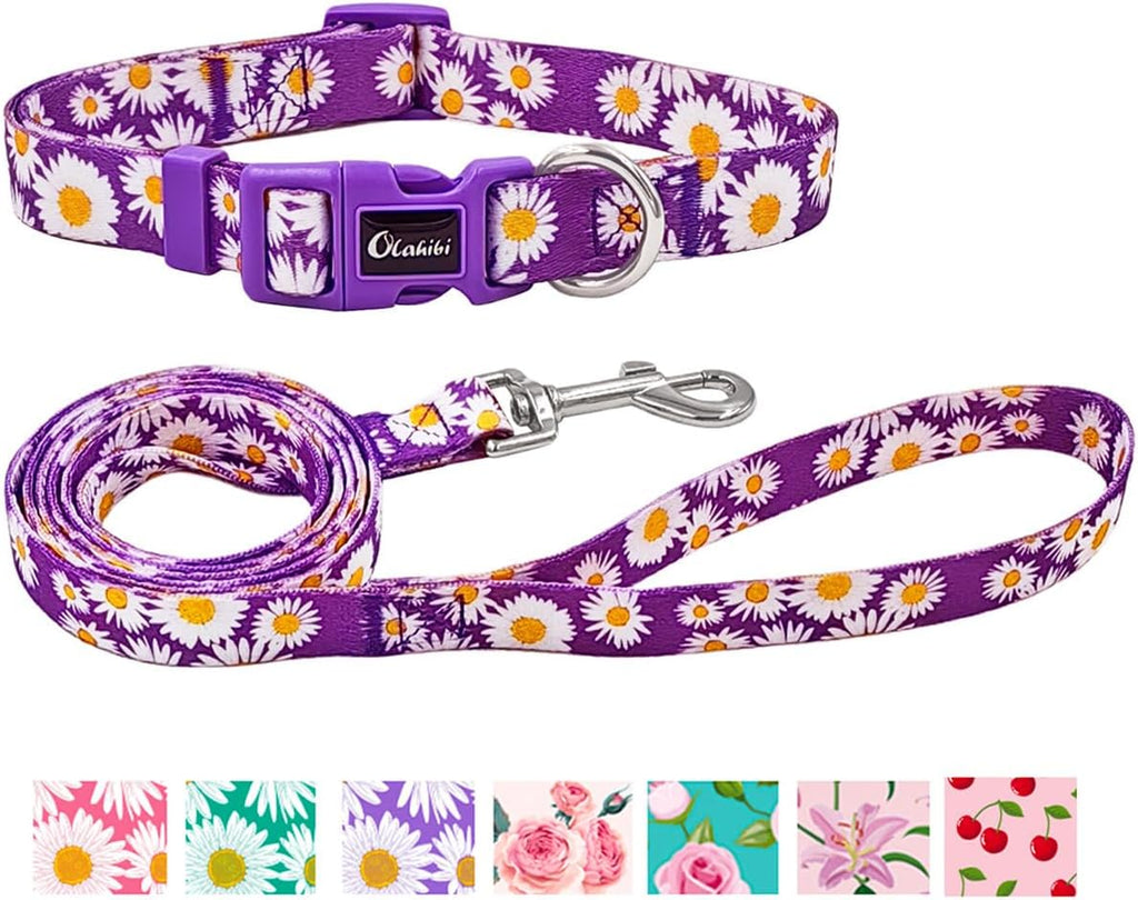 Olahibi Patterned Dog Collar and Lead Sets
