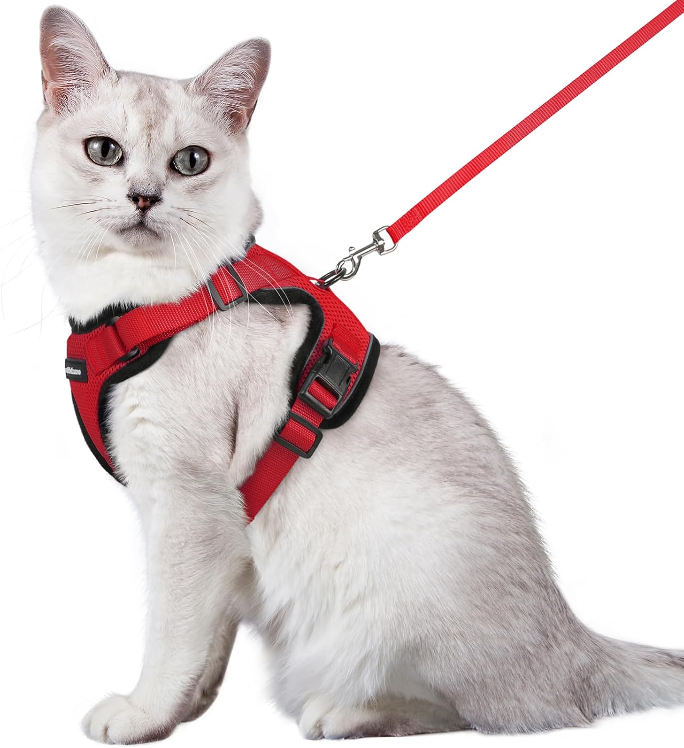 rabbitgoo Cat Harness and Lead Set, Escape Proof | PetNestUK