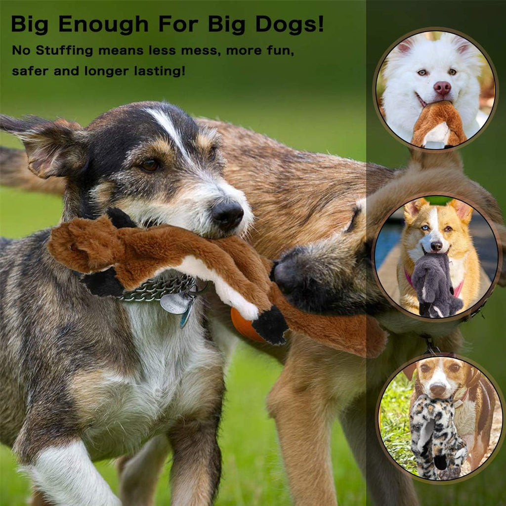Newthinking No Stuffing Dog Toys, 5 Pack Squeaky | PetNestUK