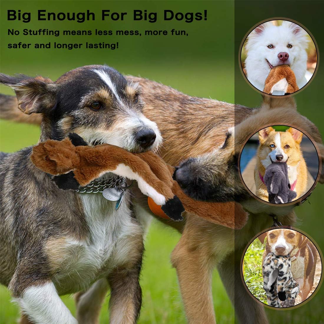Newthinking No Stuffing Dog Toys, 5 Pack Squeaky | PetNestUK