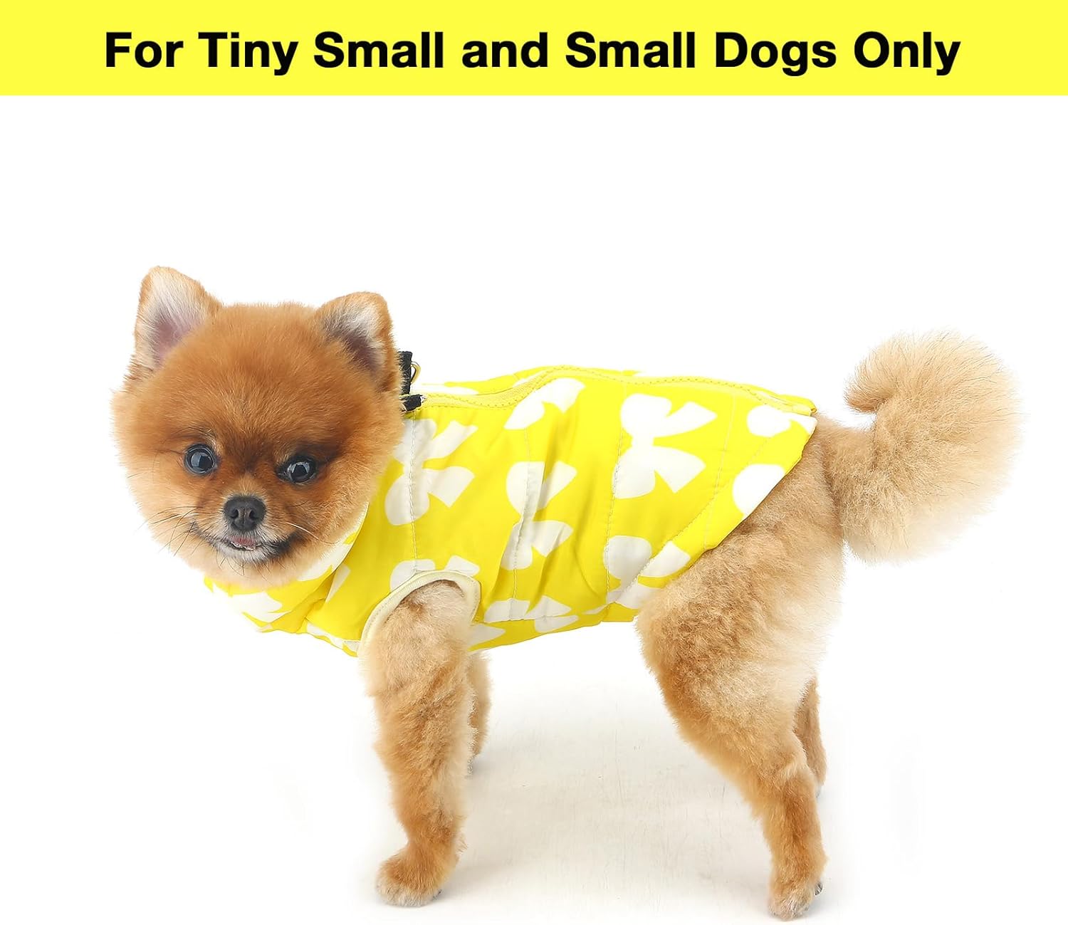 SMALLLEE_LUCKY_STORE Small Dog Cat Winter Coat | PetNestUK