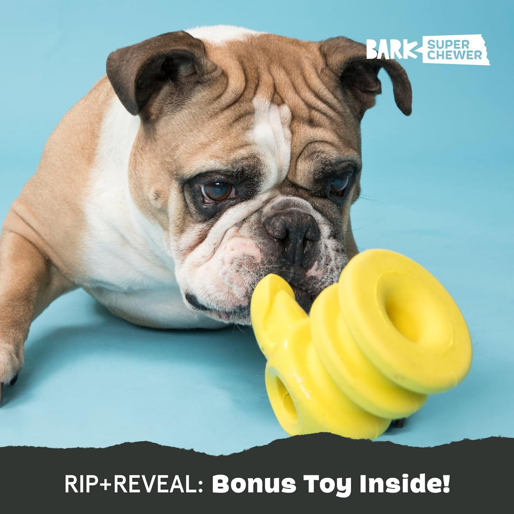 Barkbox Squeaky Dog Toys - Plush and Squeak Chew | PetNestUK